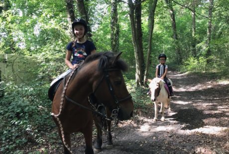 Stages poney / cheval vacances de la Toussaint