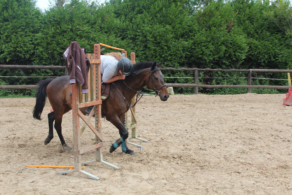 TREC Ecuries au Coeur de L'Isle Adam (95) TREC Ecuries au Coeur de L'Isle Adam (95)