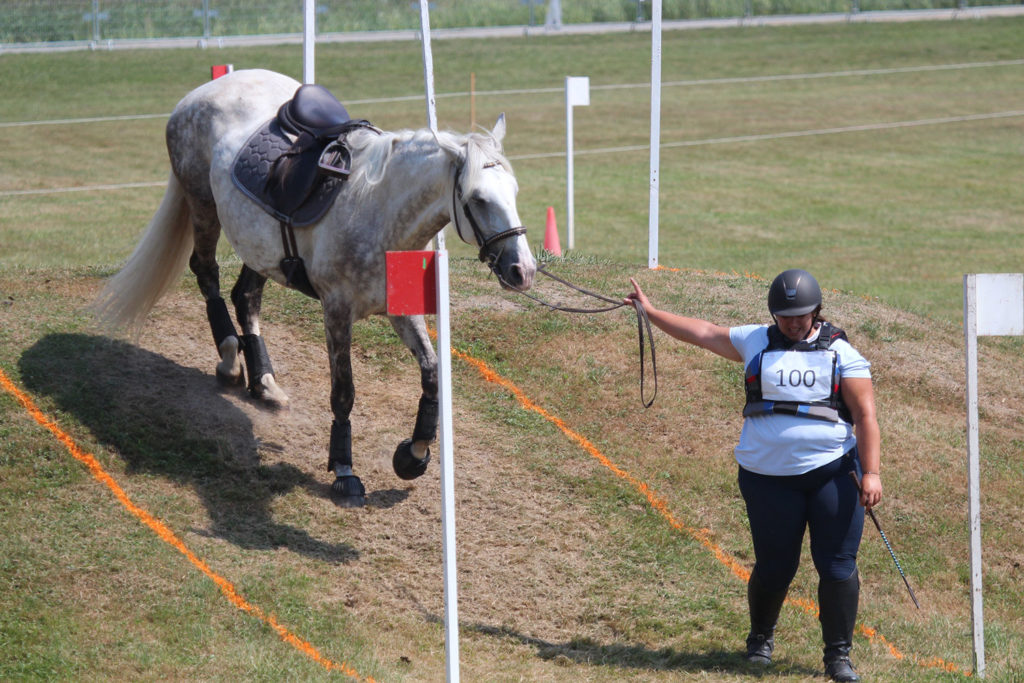 TREC Ecuries au Coeur de L'Isle Adam TREC Ecuries au Coeur de L'Isle Adam