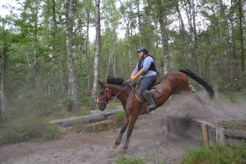 TREC Val d'Oise