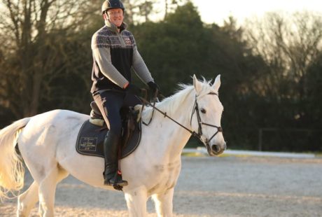 Cours d'équitation découverte pour les adultes