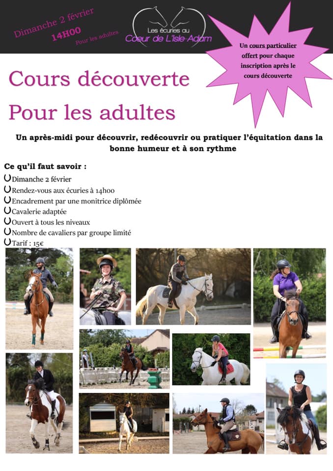 Cours découverte équitation adulte L'Isle Adam (95)