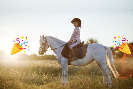 Ré-ouverture des cours shetlands et poneys !