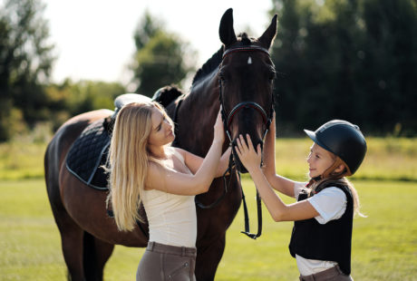 Stages été poney et cheval !