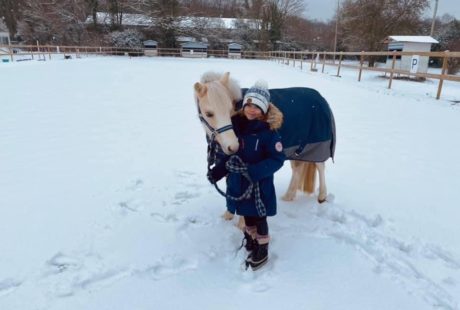 Stage poney / cheval durant les vacances d'hiver !