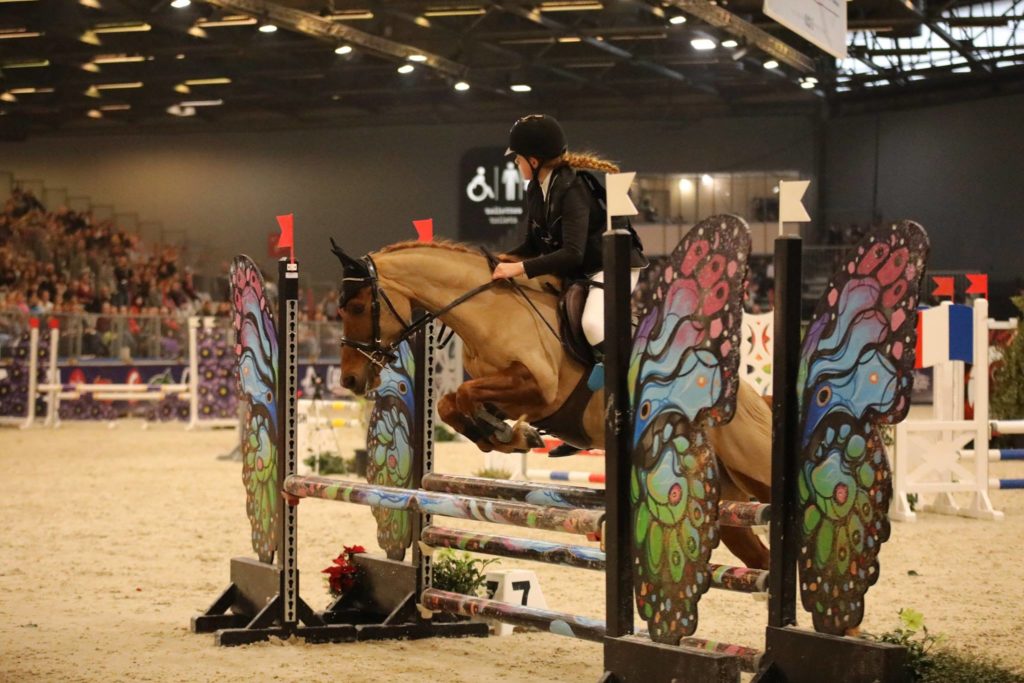 Demi pension poney concours