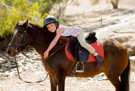 Stage poney et cheval vacances de la Toussaint