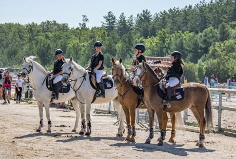 Stage poney vacances de la Toussaint L'Isle Adam