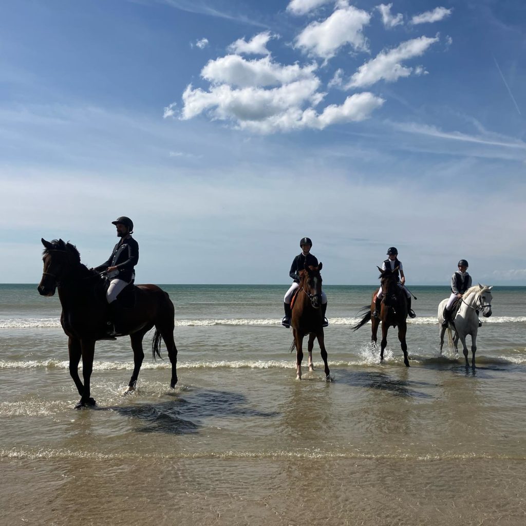 Les chevaux à la plage !