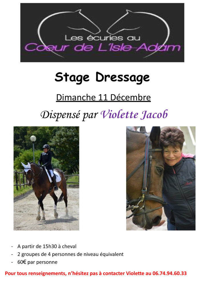 Affiche stage dressage Ecuries au Coeur de L'Isle Adam