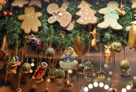 🎅Stages vacances de Noël !🎄