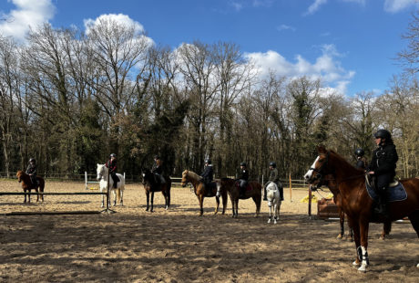 Stage poney vacances de Pâques