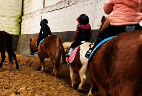 Stage Ecuries 95 février 2026