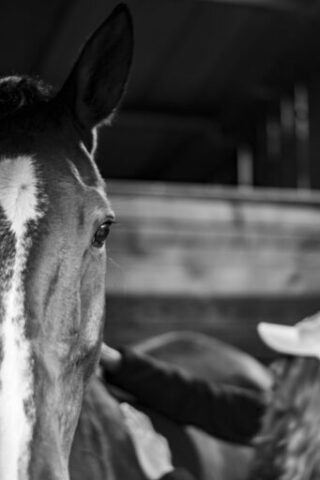 01112025-CSO LeMans-152