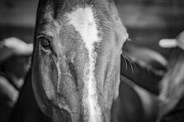 01112025-CSO LeMans-153