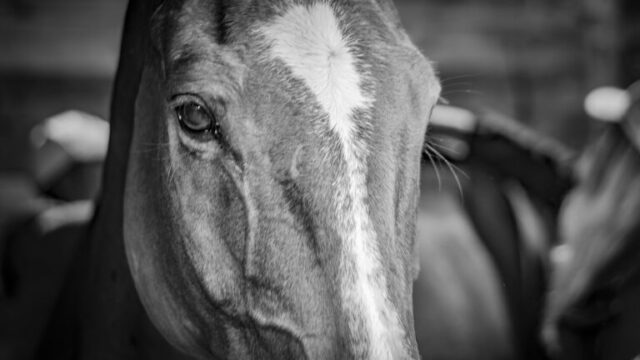 01112025-CSO LeMans-154