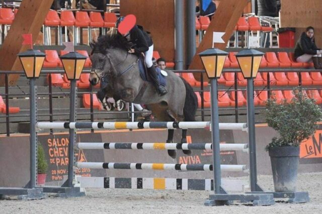 Pegase de kerduff pegase de kerduff